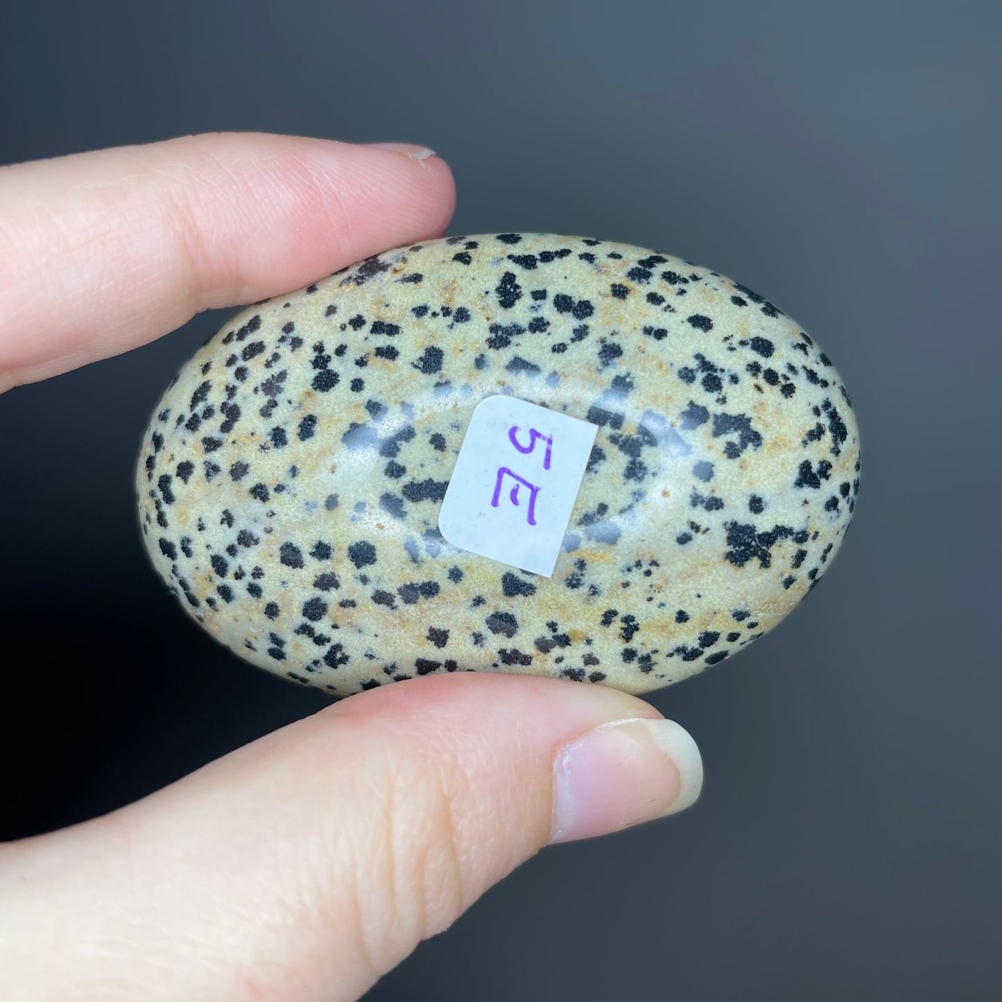 Dalmatian Jasper Palm Stones