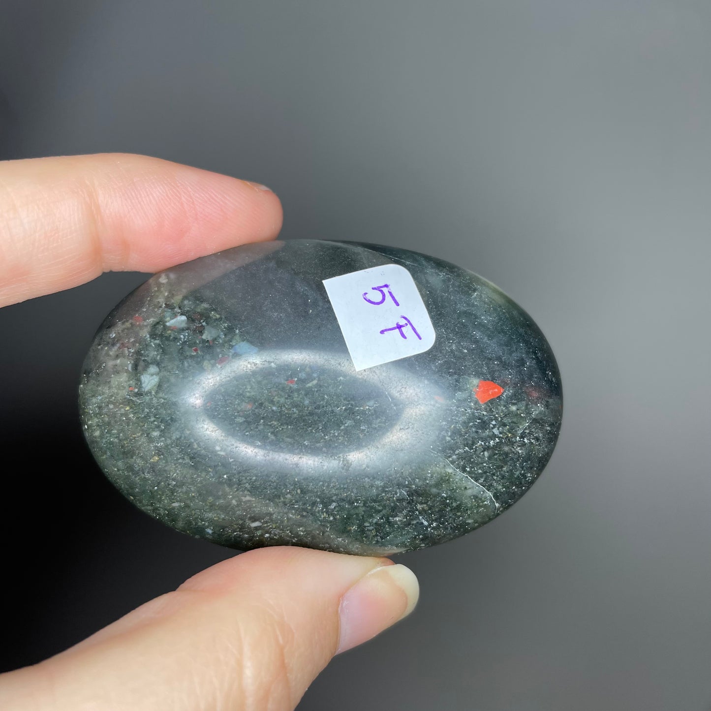 Bloodstone Palm Stones
