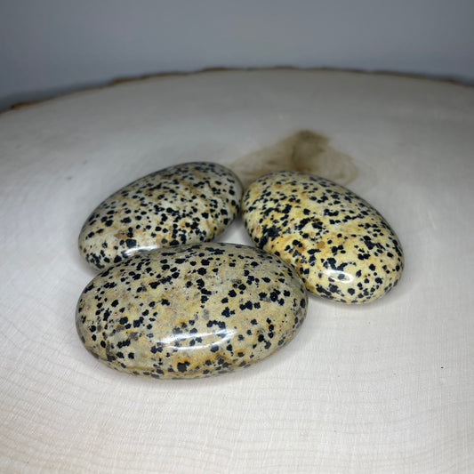 Dalmatian Jasper Palm Stones