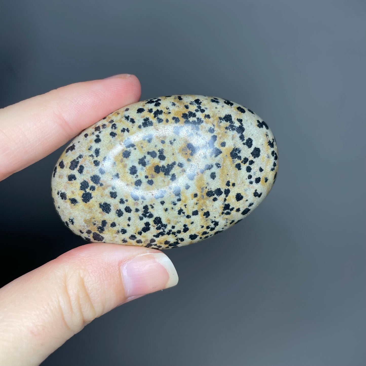 Dalmatian Jasper Palm Stones