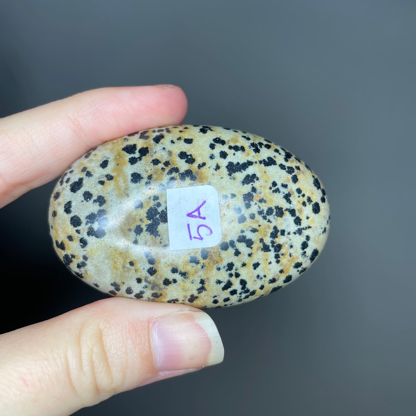 Dalmatian Jasper Palm Stones