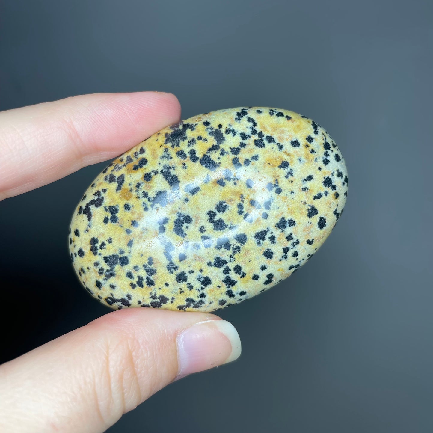 Dalmatian Jasper Palm Stones