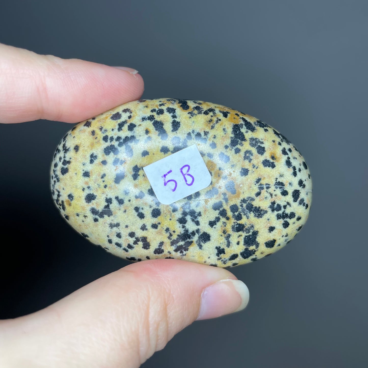 Dalmatian Jasper Palm Stones