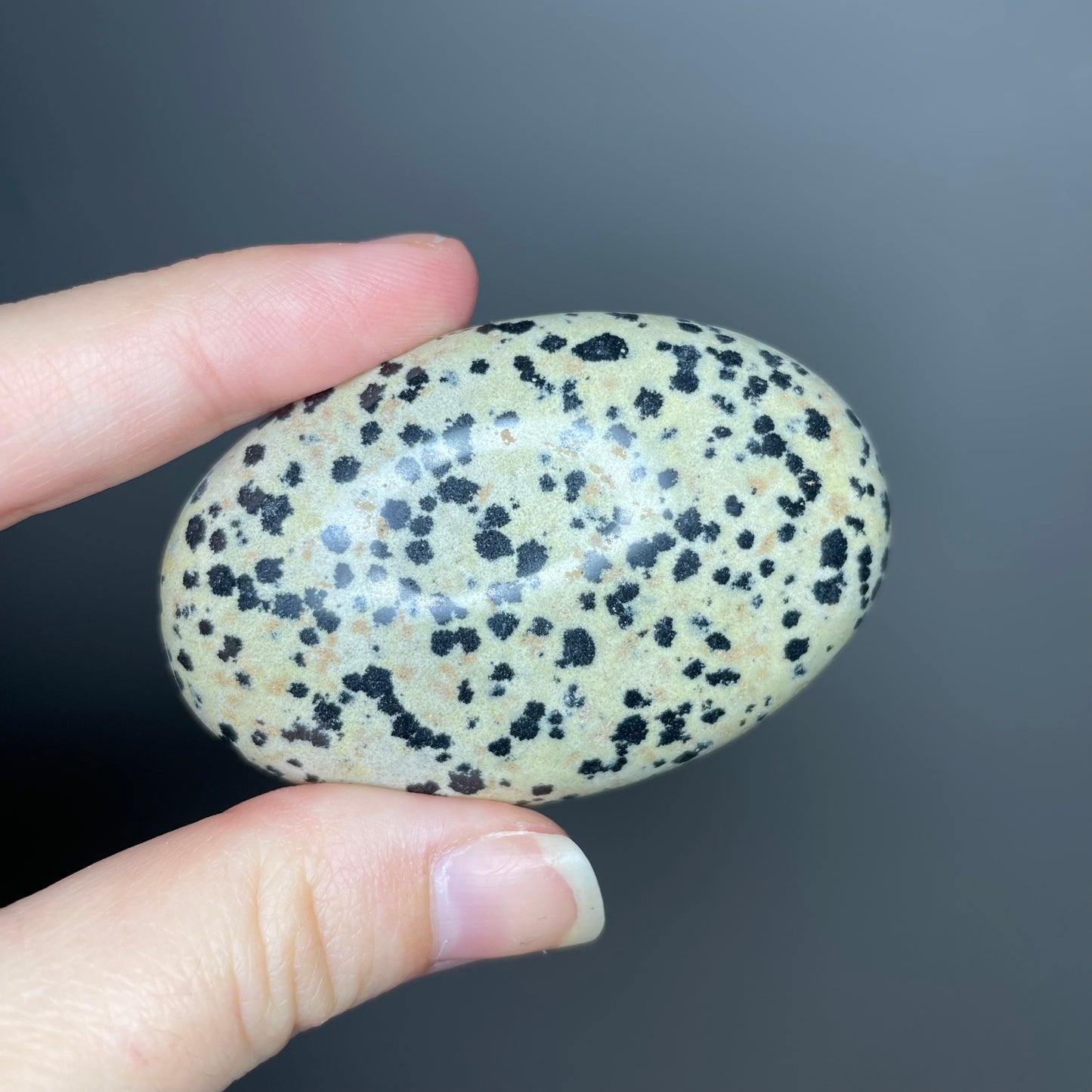 Dalmatian Jasper Palm Stones
