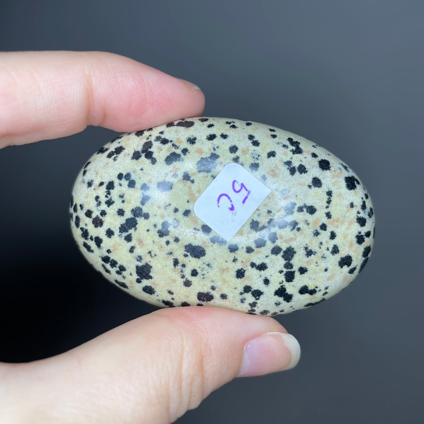 Dalmatian Jasper Palm Stones