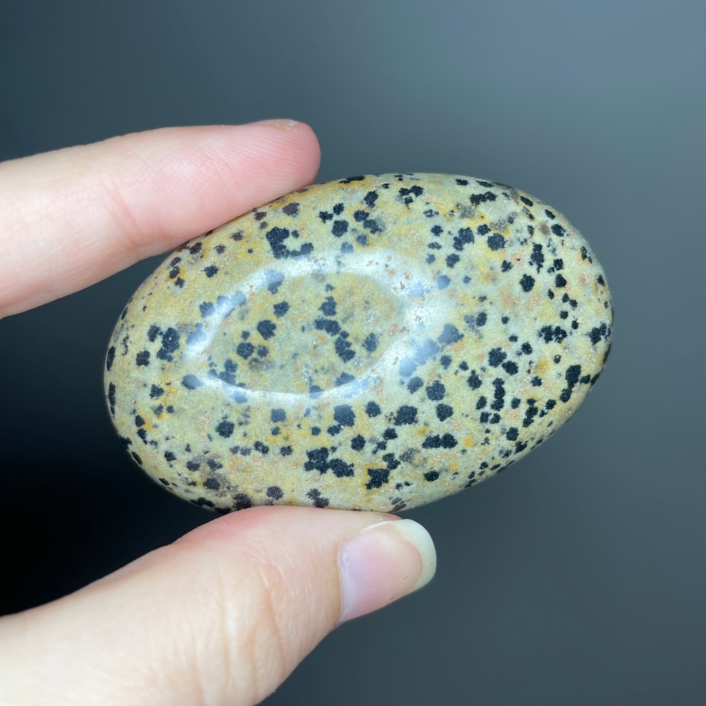 Dalmatian Jasper Palm Stones