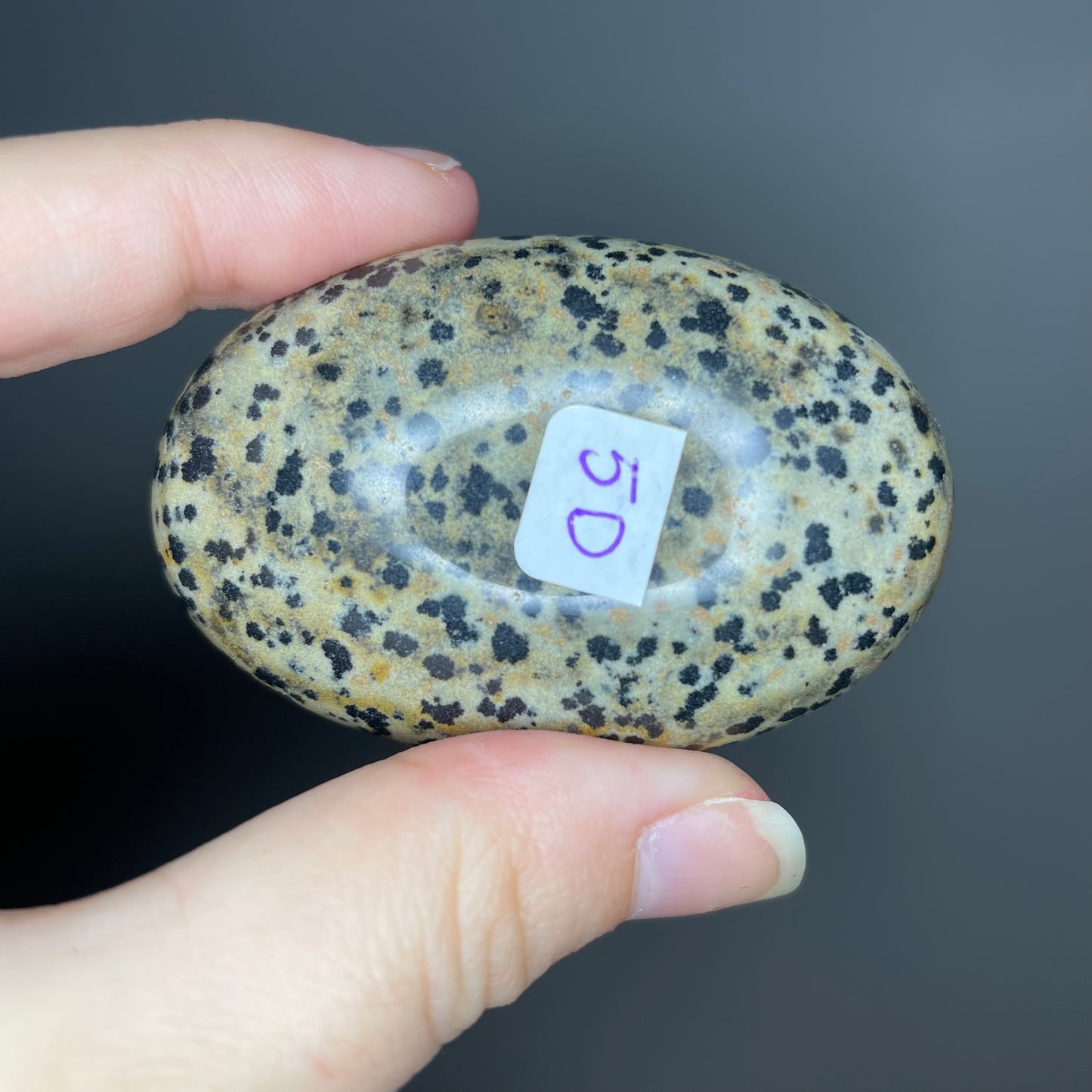 Dalmatian Jasper Palm Stones