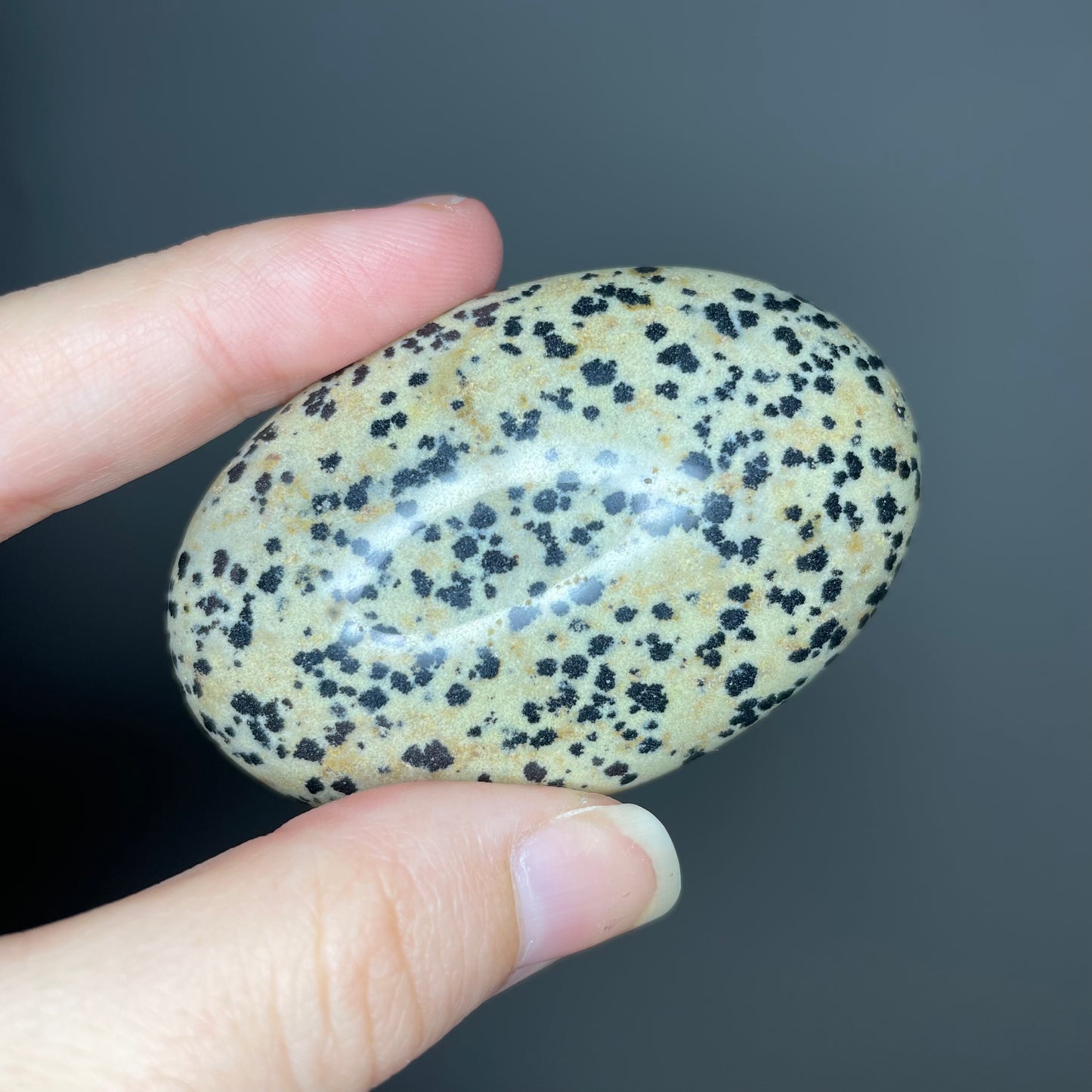 Dalmatian Jasper Palm Stones