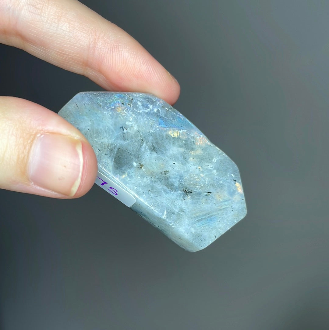 Labradorite Freeform (Small)